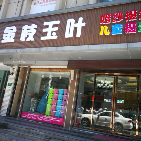 金枝玉叶婚纱儿童摄影