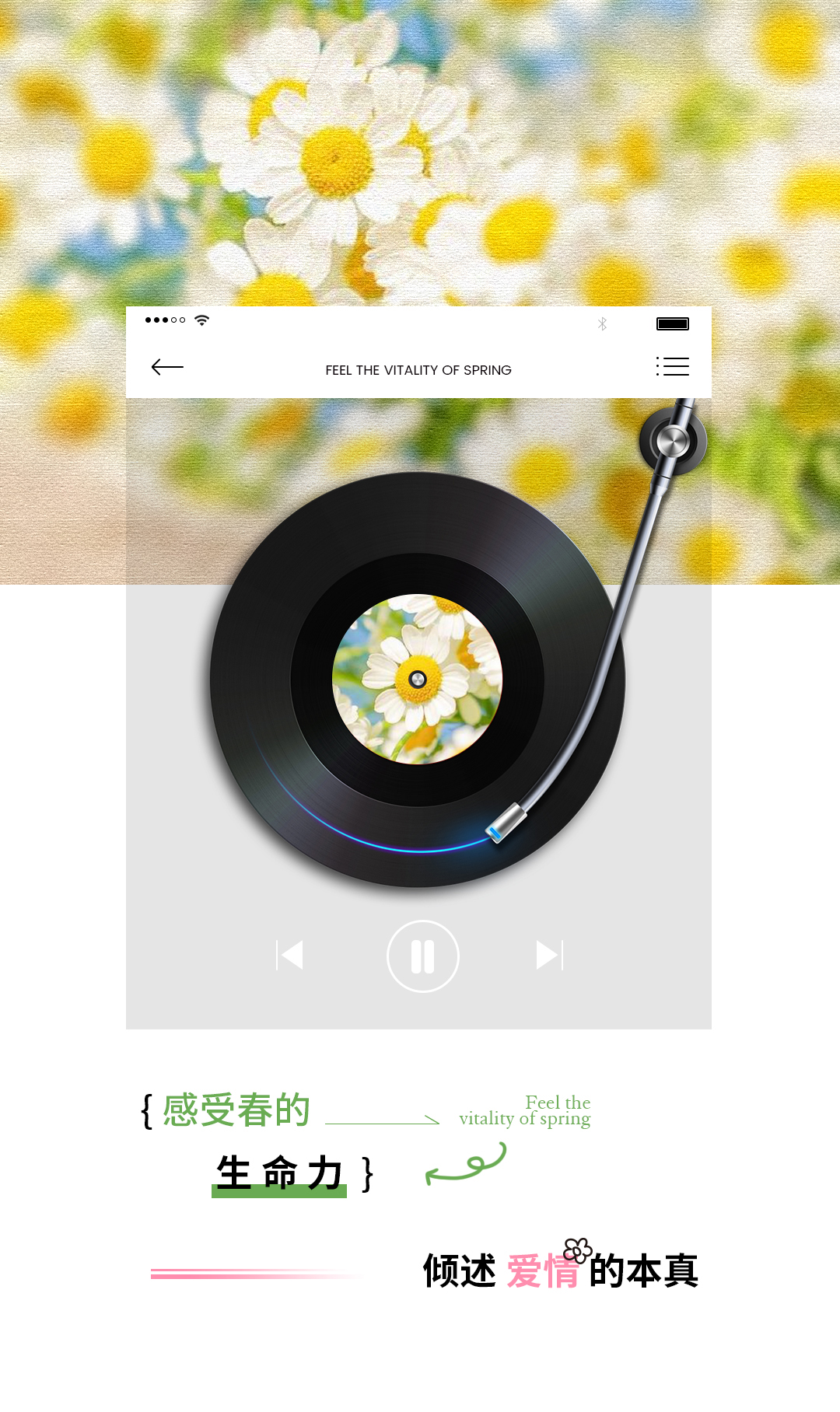 【ins风韩系】内外景双拍|服装不限|专家一对一