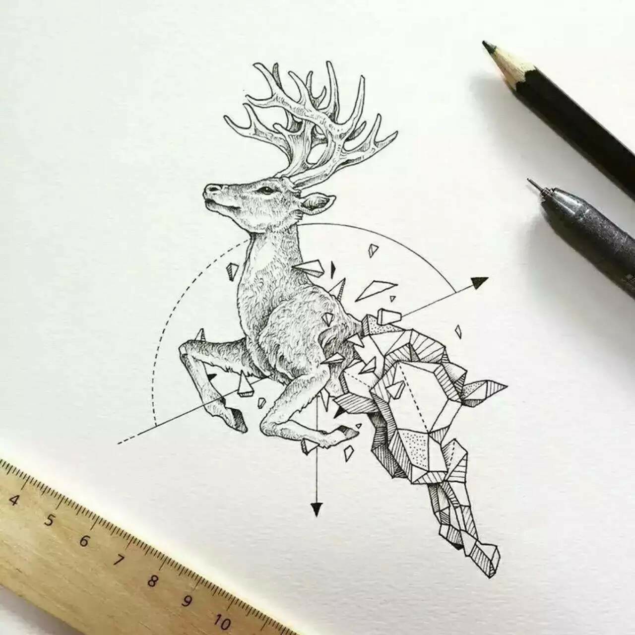 null雙雙-