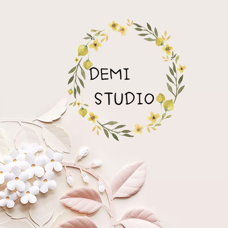 DEMI STUDIO