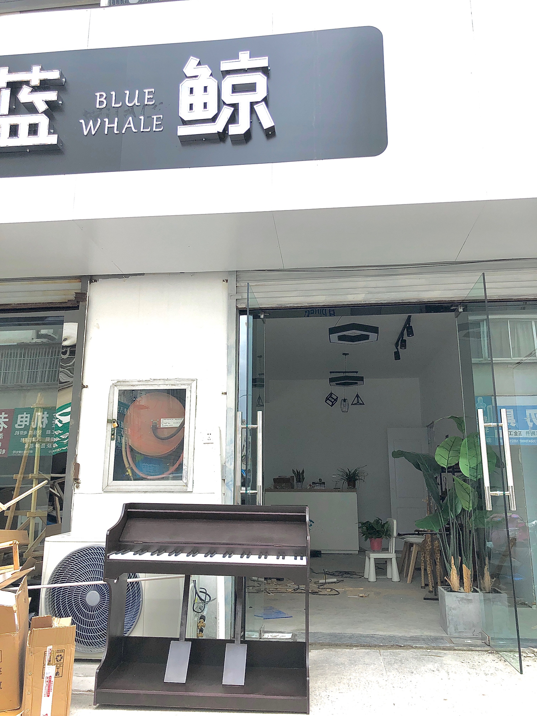 蓝鲸摄影工作室