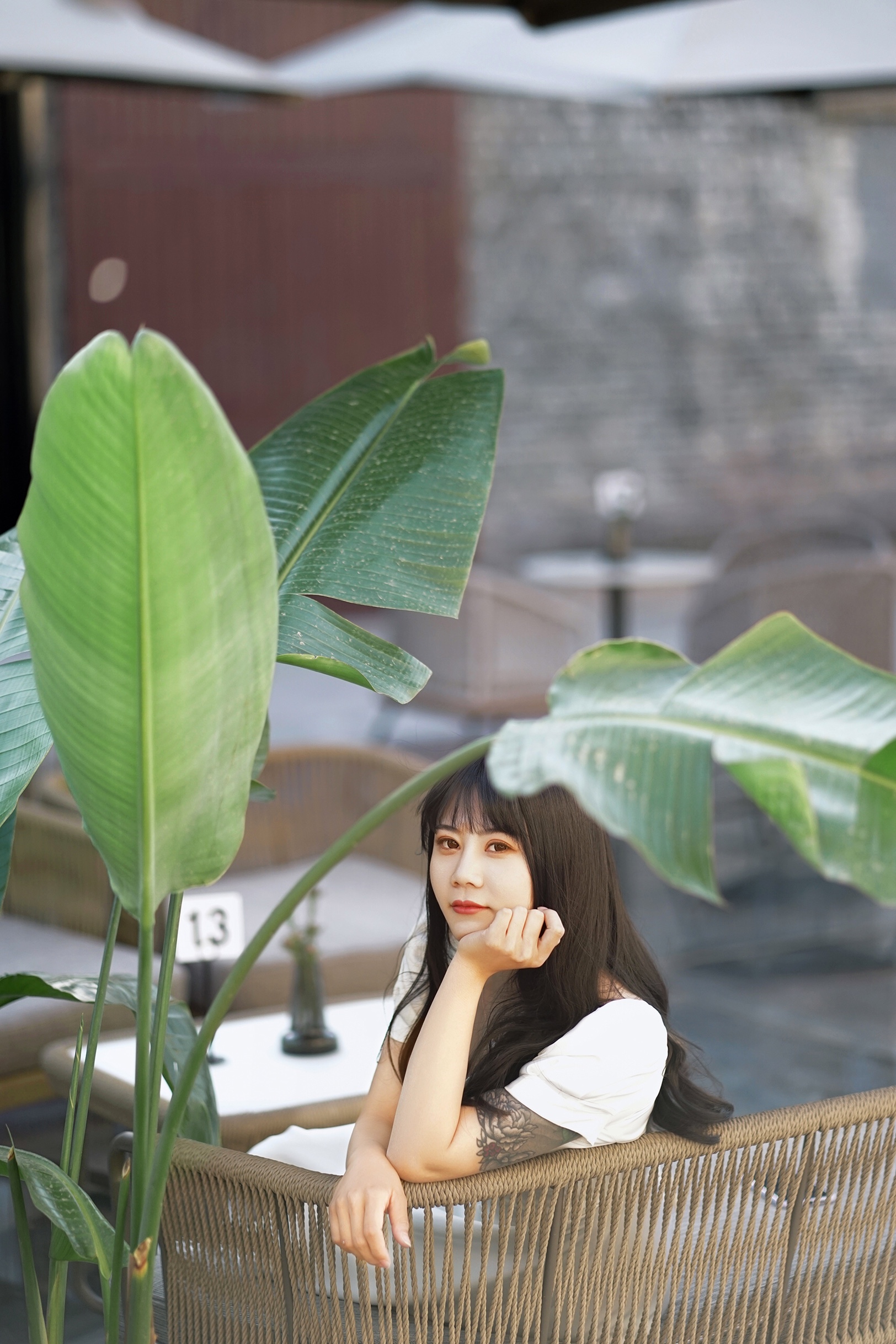 网红打卡地西港花园外景拍摄