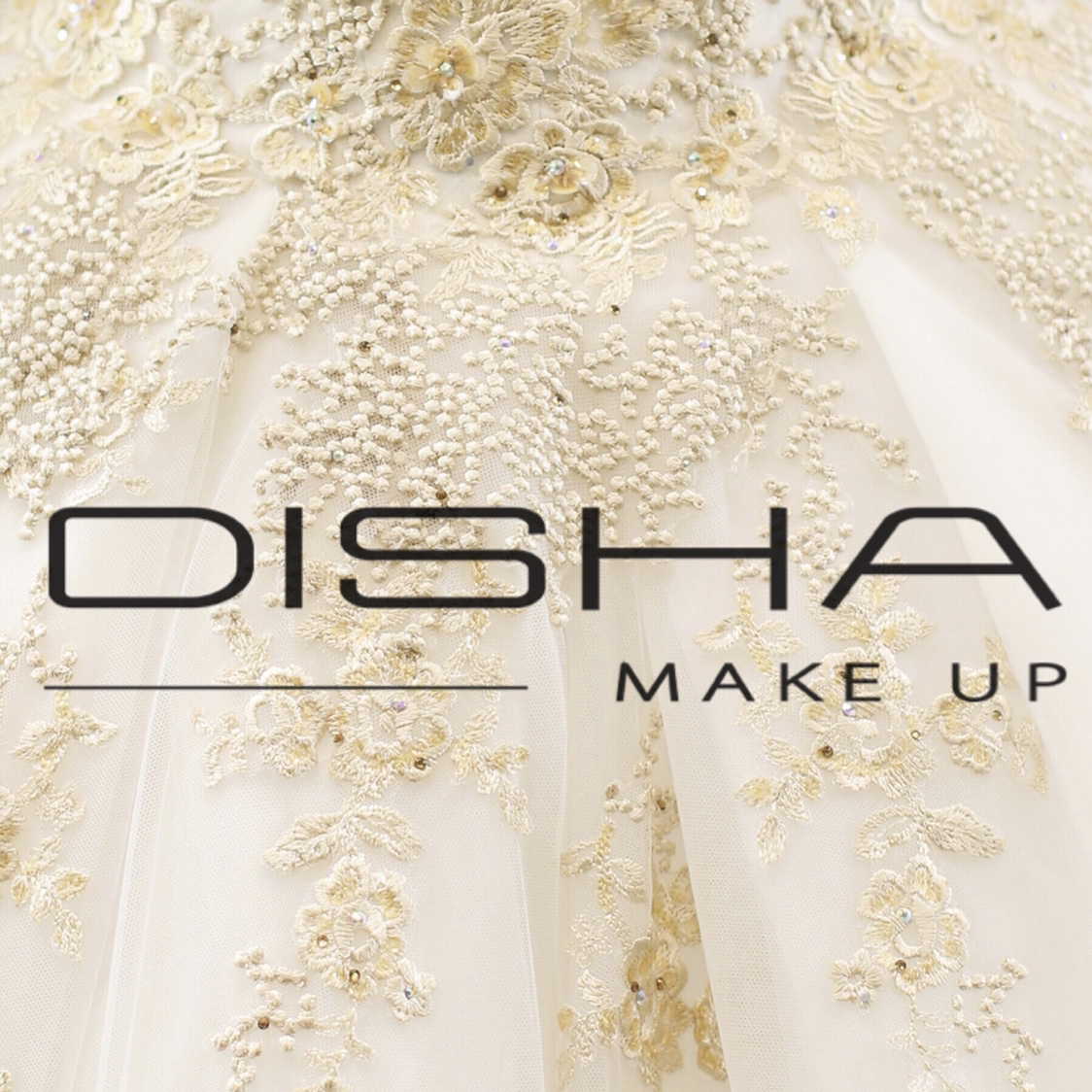 Disha  make up