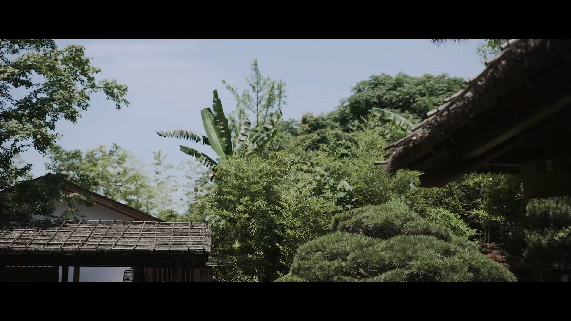 晴溪庄园户外婚礼