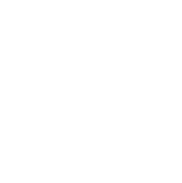 null瑞果影像