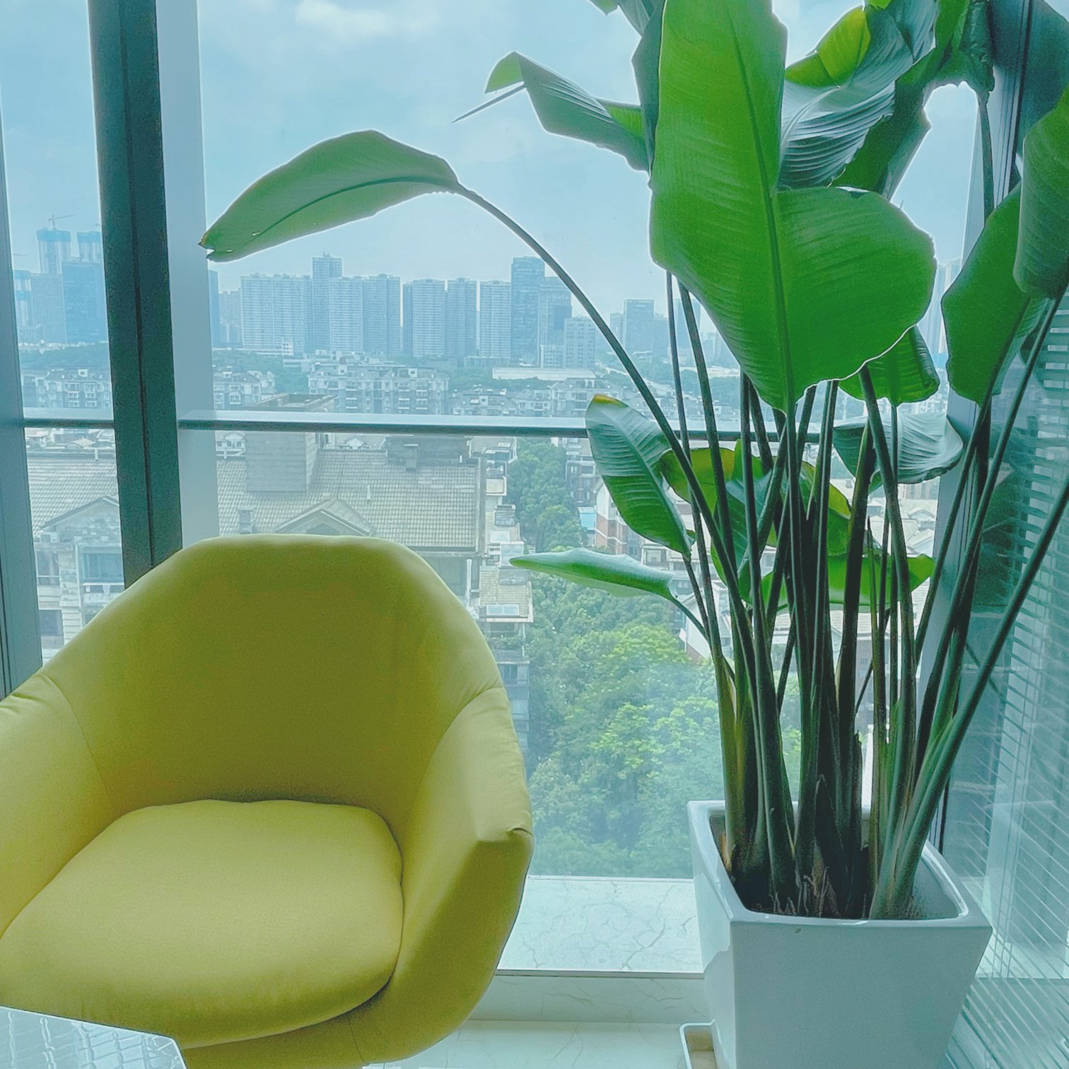 WAITING等汀婚礼定制