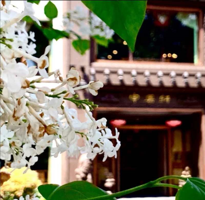 申粤轩（丁香花园）的用户评价