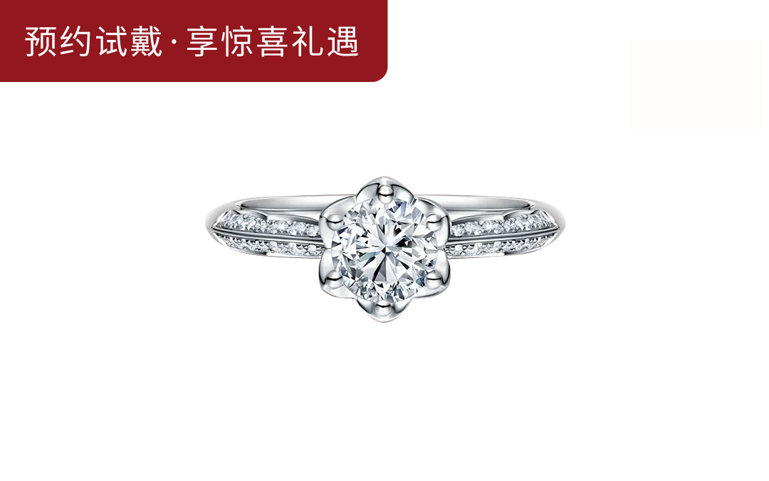 DR LOVE PALACE简奢钻戒WJ0420