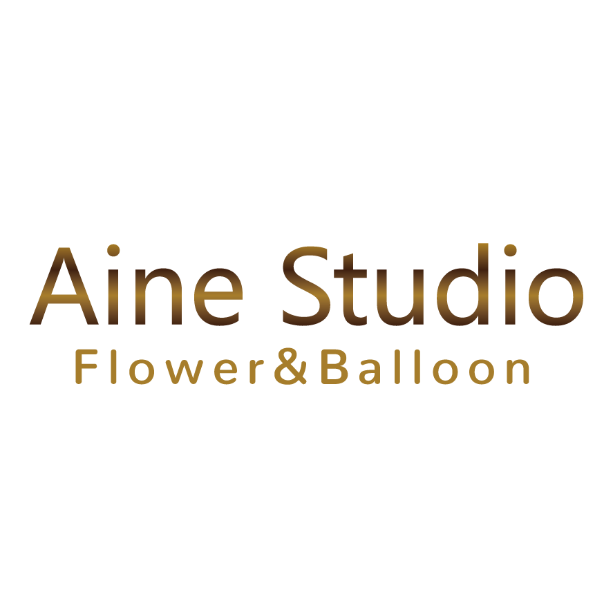 Aine Studio