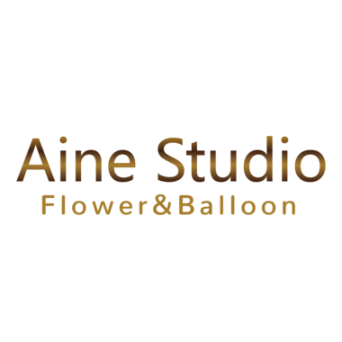 Aine Studio