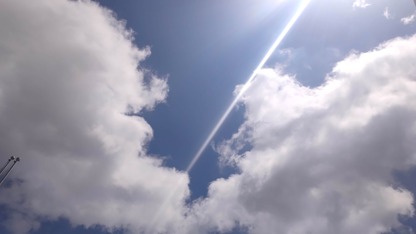 今天的阳光格外刺眼，像极了那个夏天