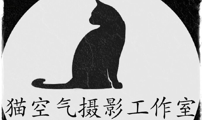 猫空气摄影