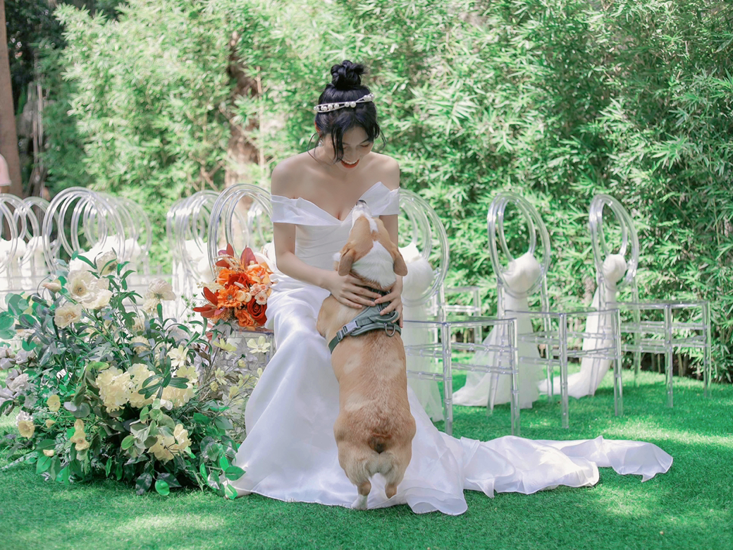 广州法式园林一站式婚礼堂 实现我的私密草坪婚礼梦🦋