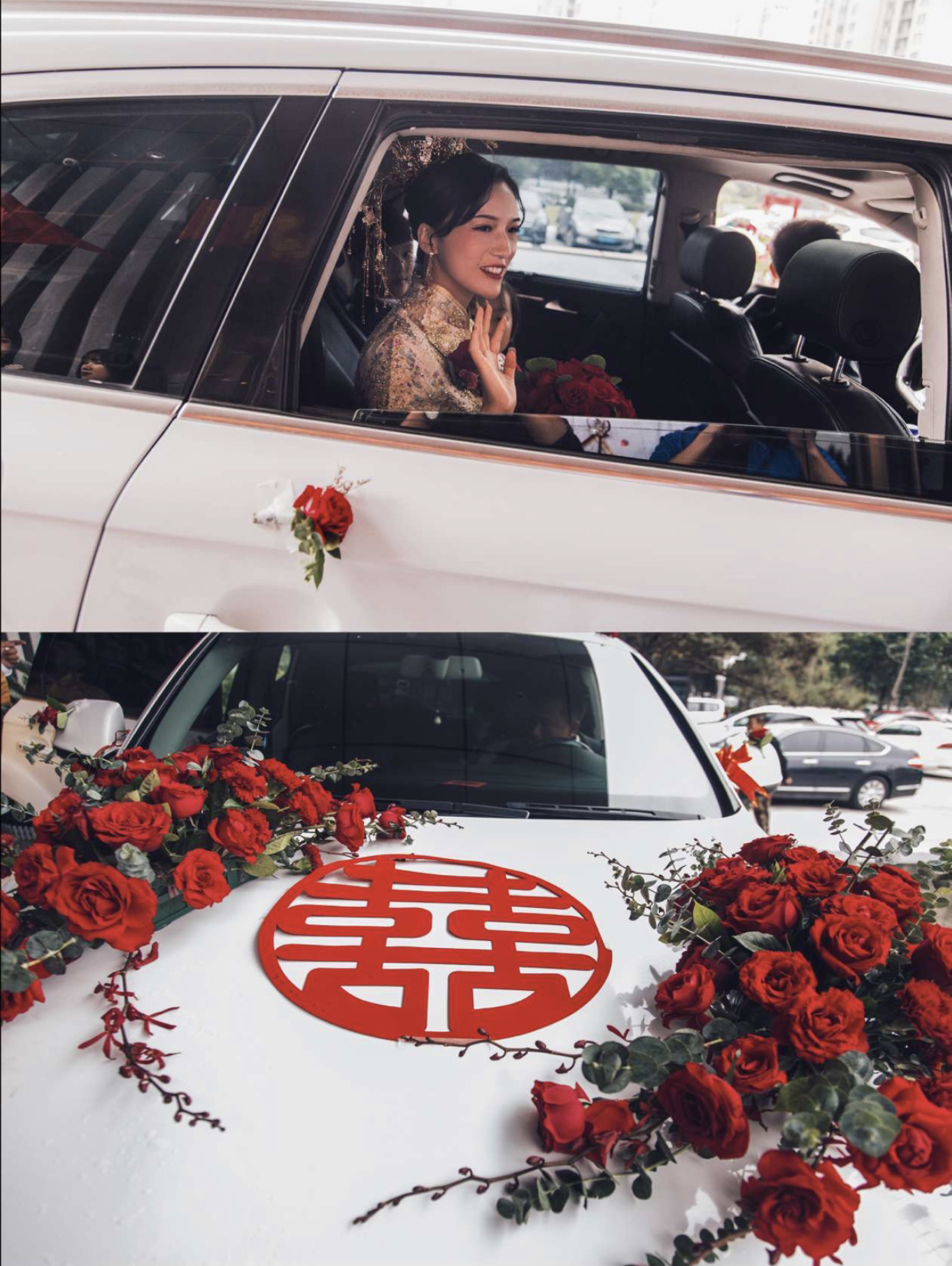 我想要做你的枕边书，怀中猫