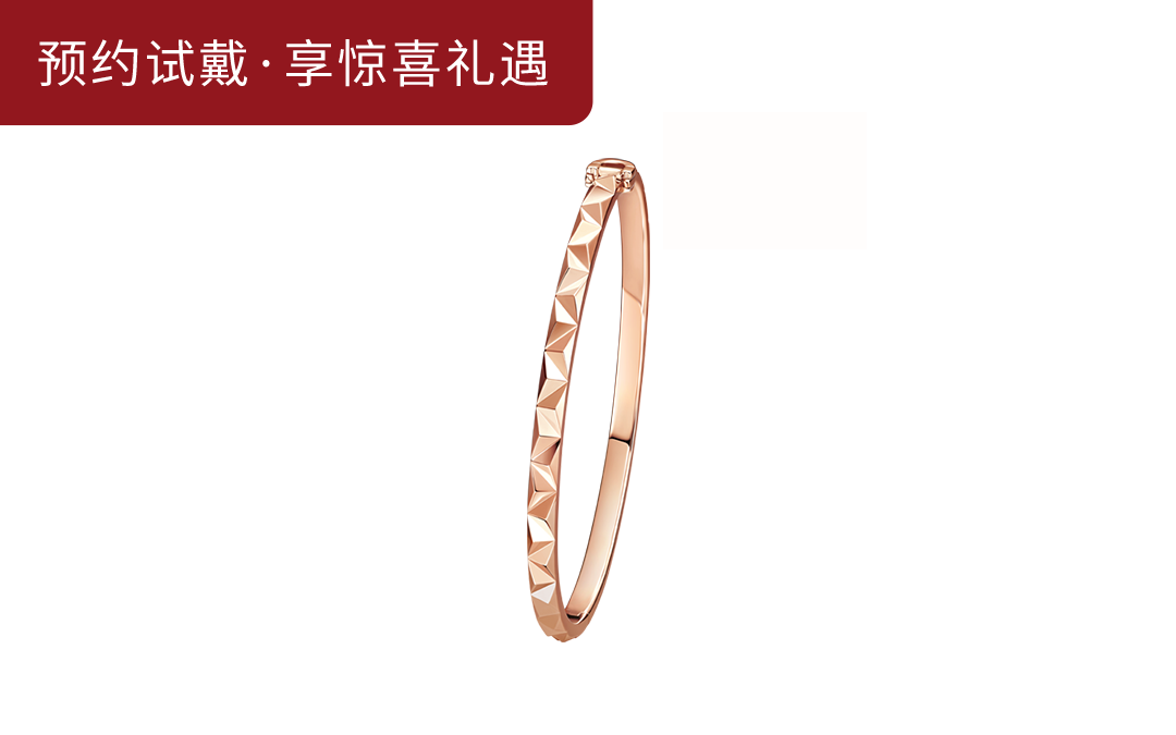 DR PARIS系列恒爱浪漫款手镯SZ0013