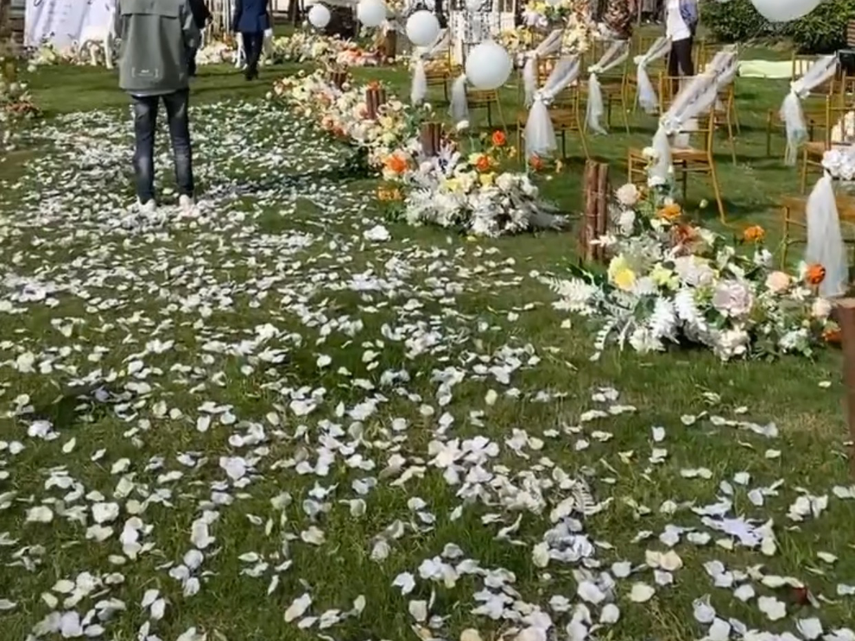 疫情特價，白色系戶外草坪婚禮