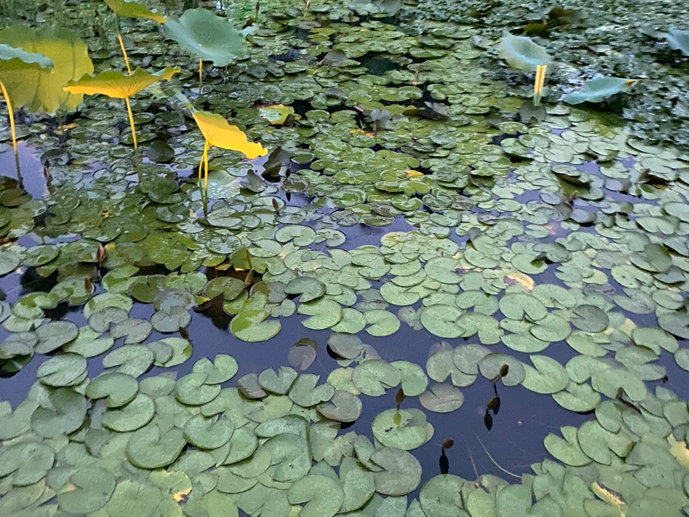 测试哈哈哈健健康康哦哦哦哦1