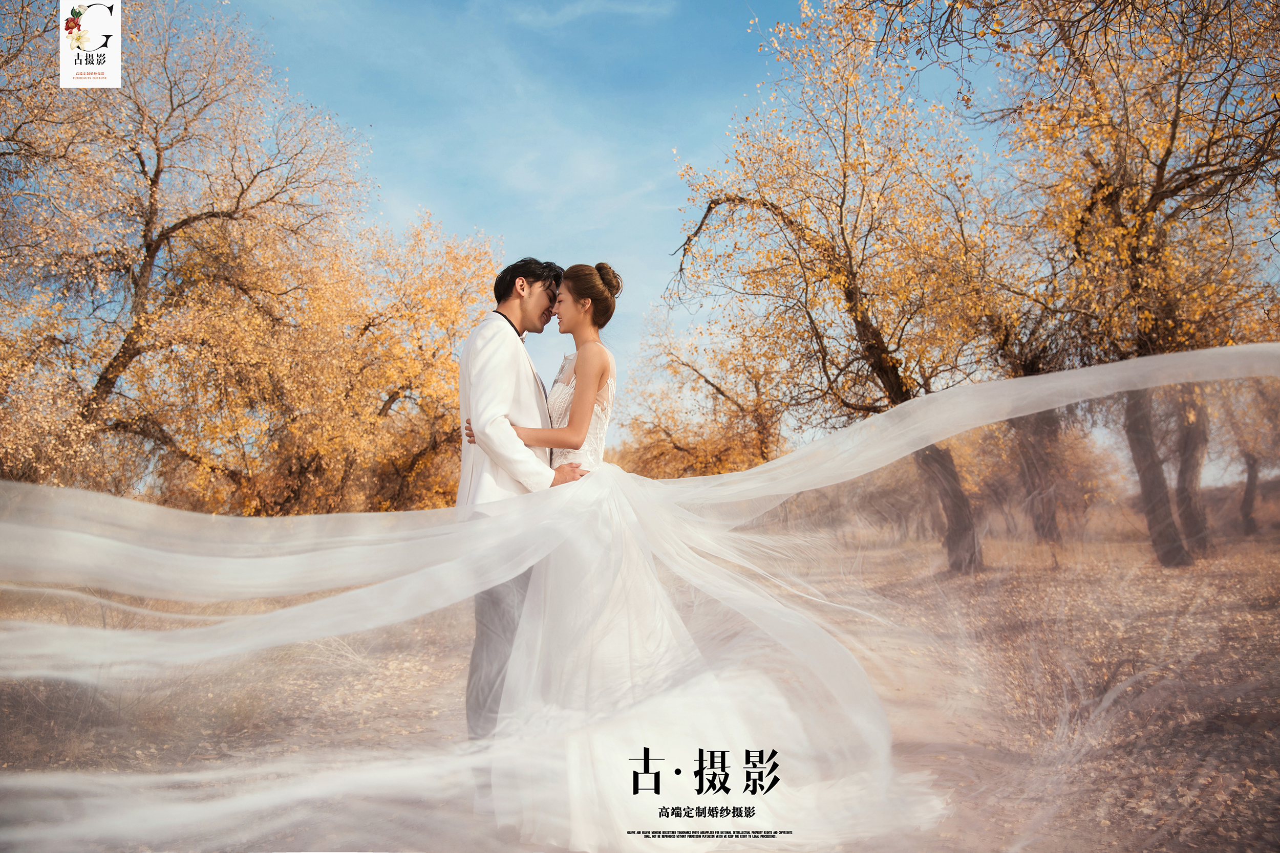 秋季特色|金胡杨|公路|纪实|新疆旅拍