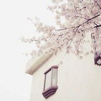 张明