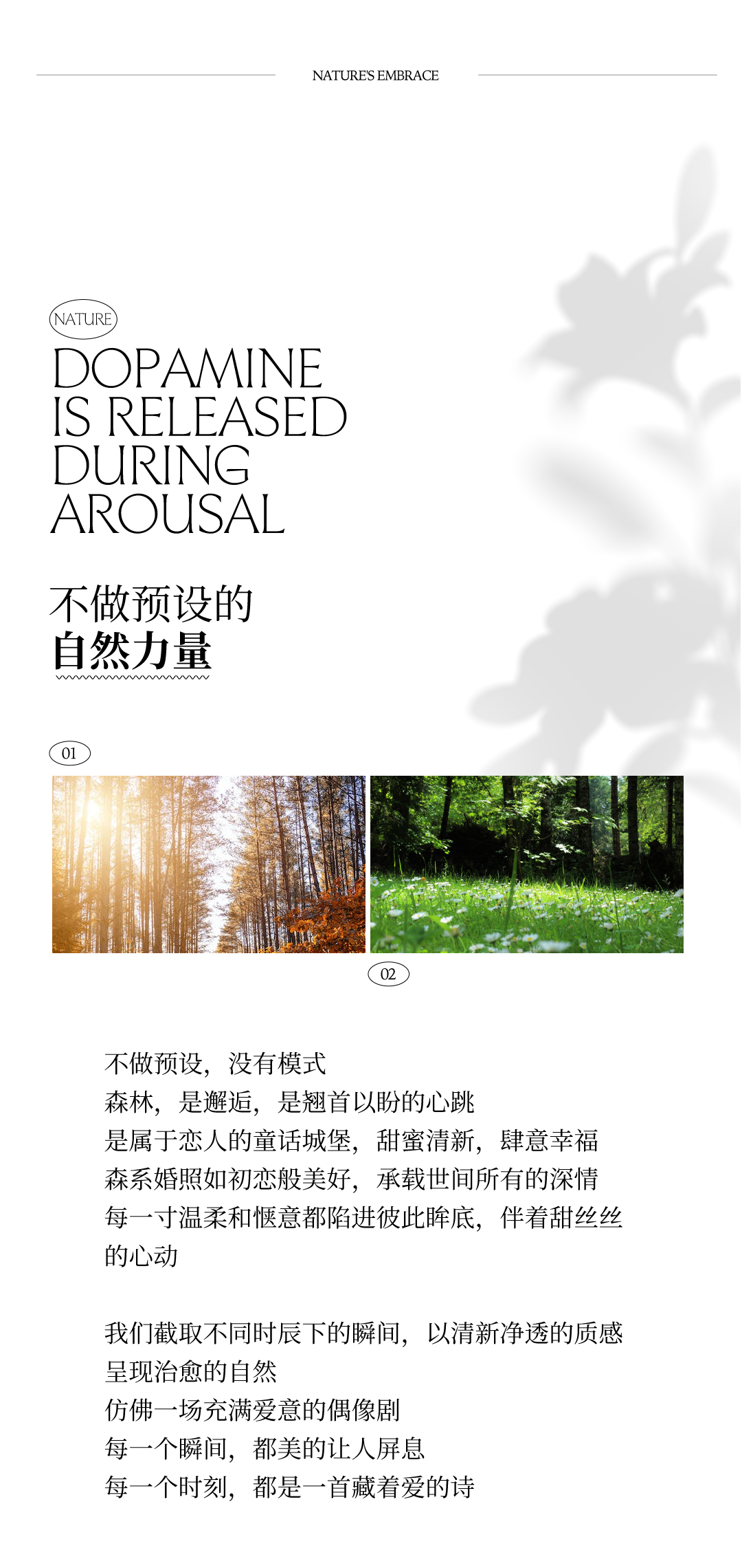 【清新森系】婚纱照内外景双拍|风格场景任选|包干