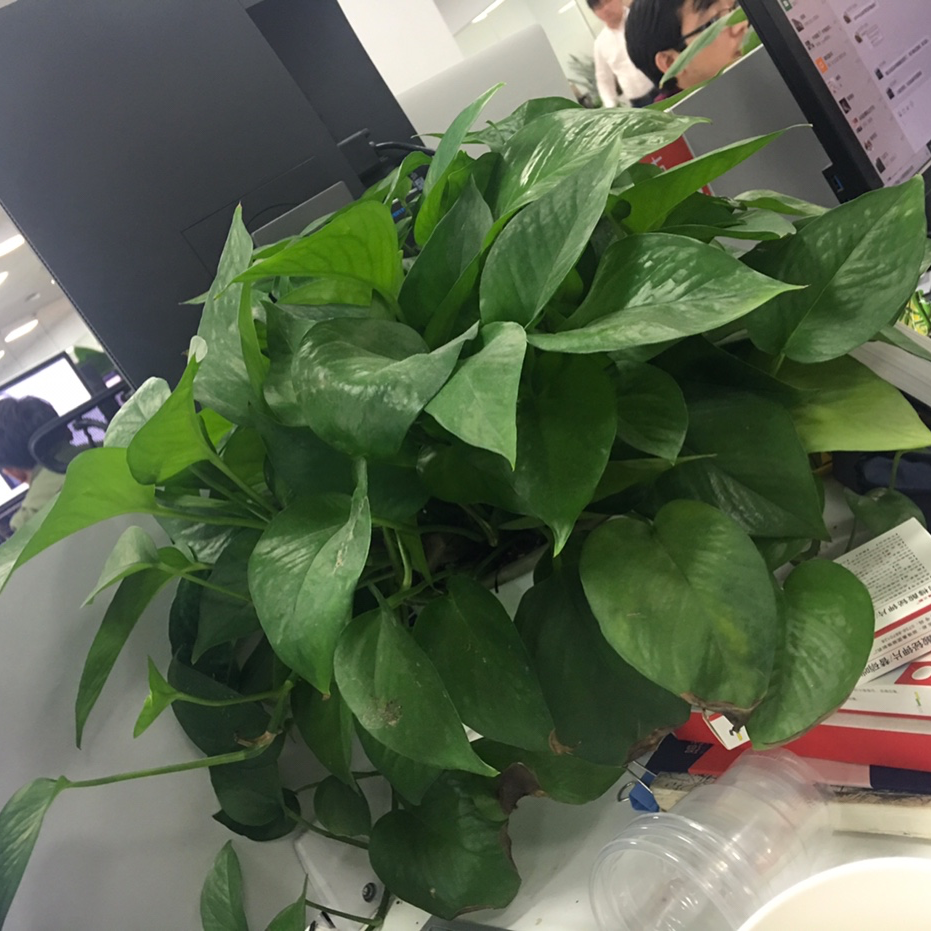 测试儿童摄影苹果紧迫哦婆测试婆婆婆