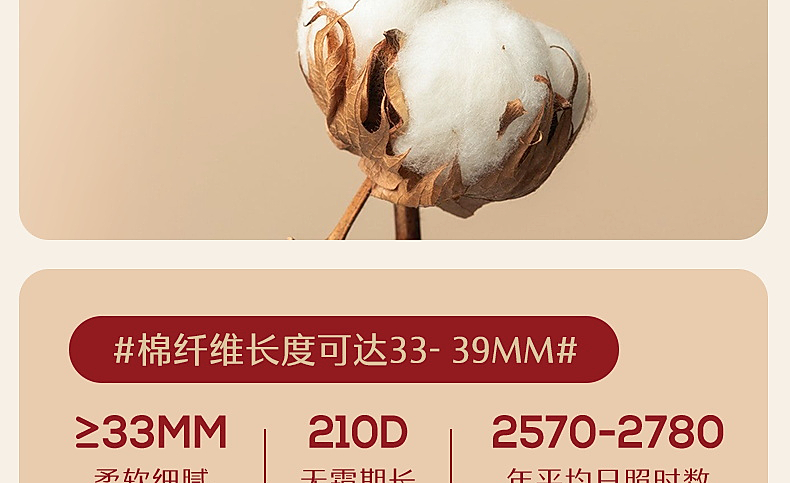 【水星家紡】囍溢眉梢60S長(zhǎng)絨棉婚床套件
