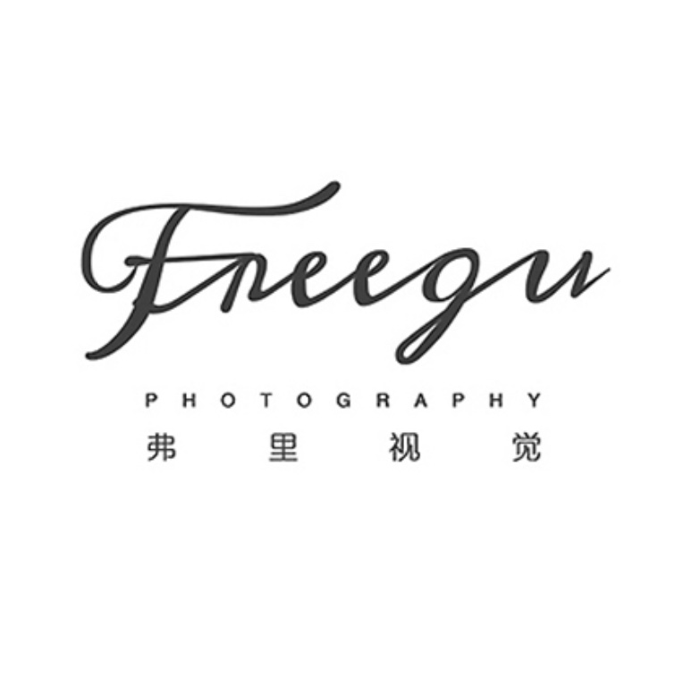 FREEGU弗里视觉