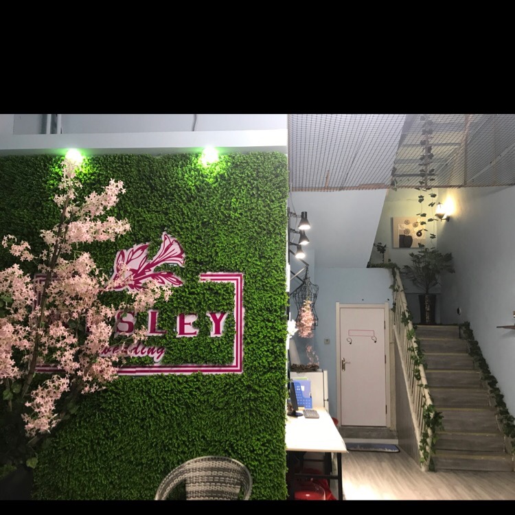 韦斯立婚庆传媒有限公司
