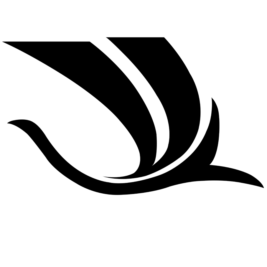 null艺源婚纱