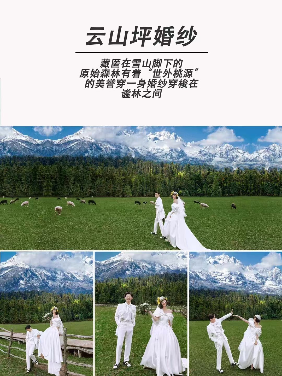 丽江+大理或丽江+三亚任选两个地方拍摄6天5晚