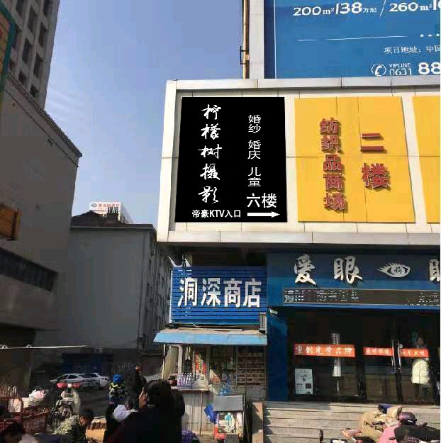 柠檬树摄影