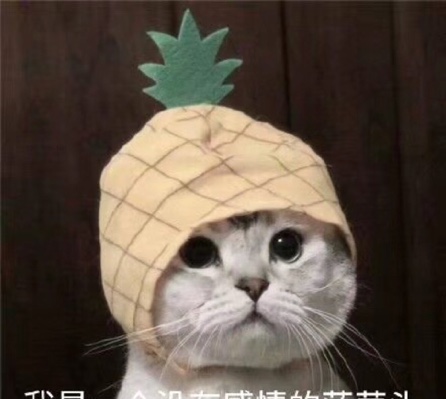 带刺的菠萝&
