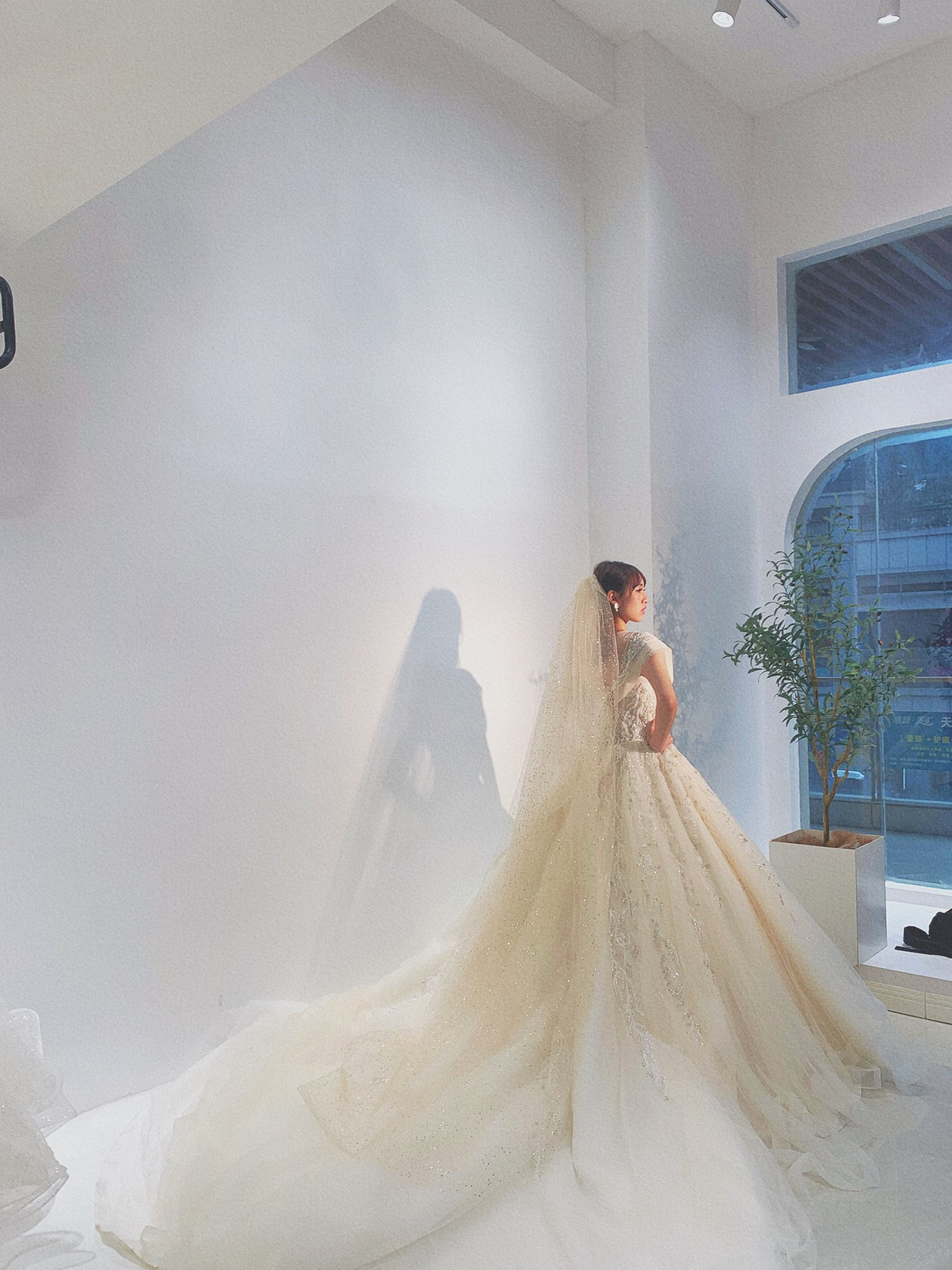 星空公主系——梦幻中的婚礼