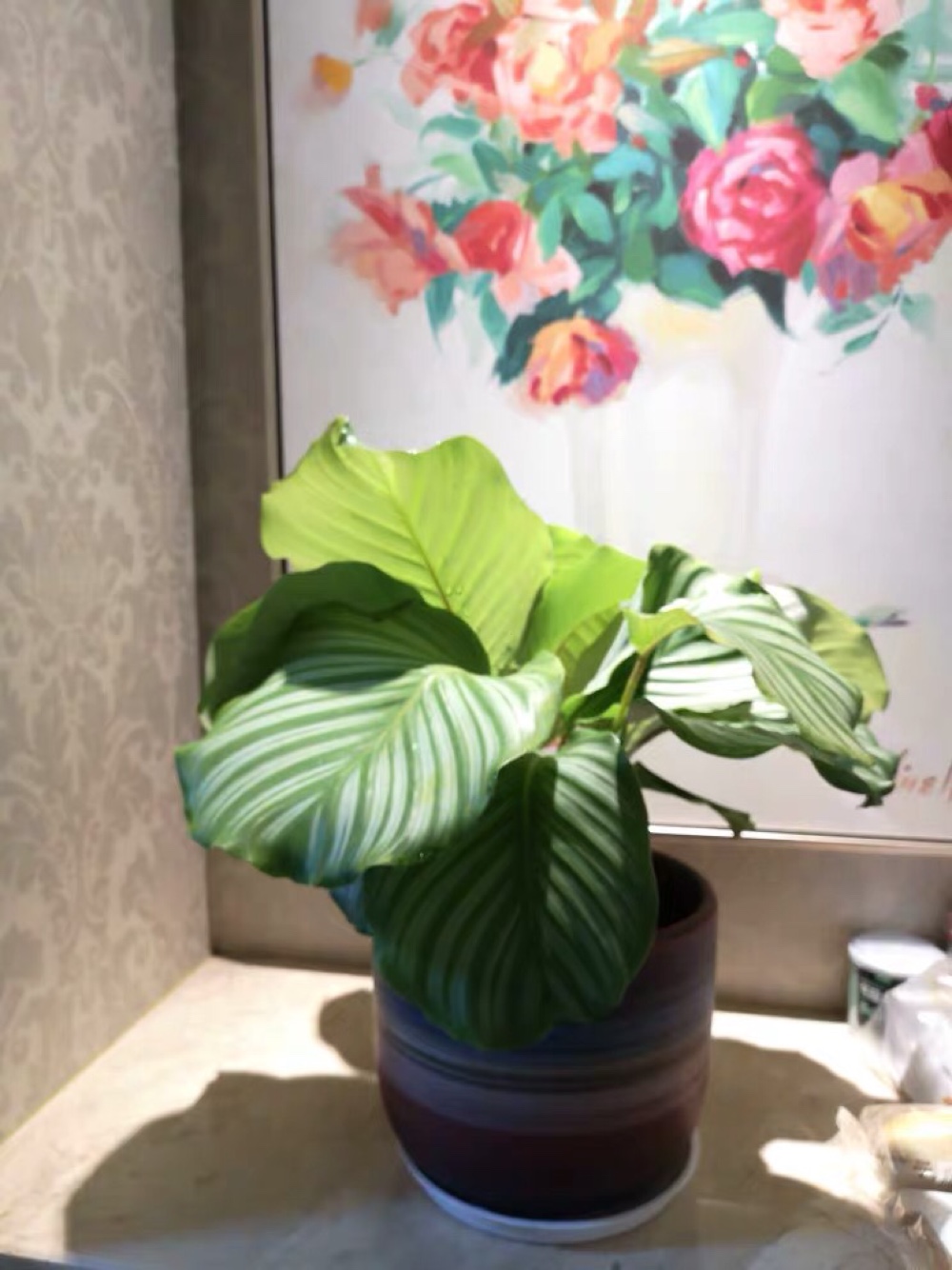 小杨花艺