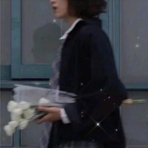 南恋北笙