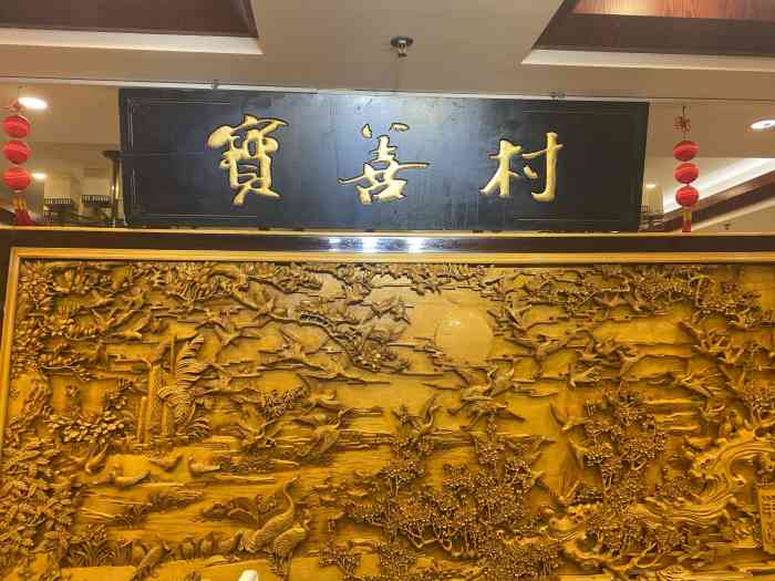 宝善村