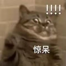 企业测试南羌的店