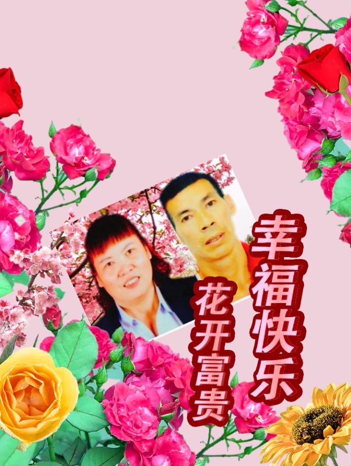 🎈5月新娘|不到50元的婚房布置攻略！