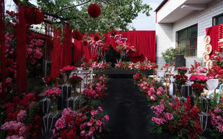 乡村庭院红色布幔婚礼