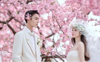 樱花季🌸春天必拍的少女心婚纱照🍬
