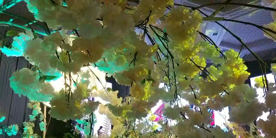 情缘婚庆在幸福的路上等你们哦