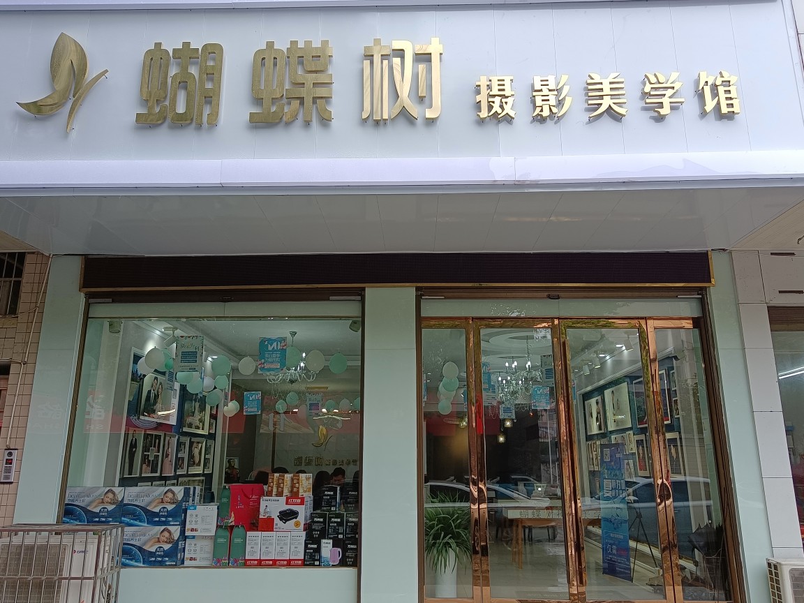 蝴蝶树摄影美学馆