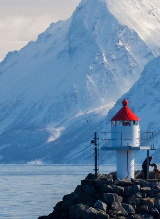 测试酒店入驻安卓024