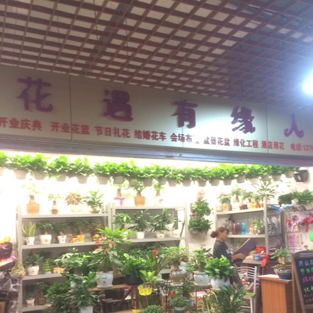 花遇有缘人花店