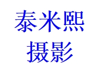 泰米熙攝影