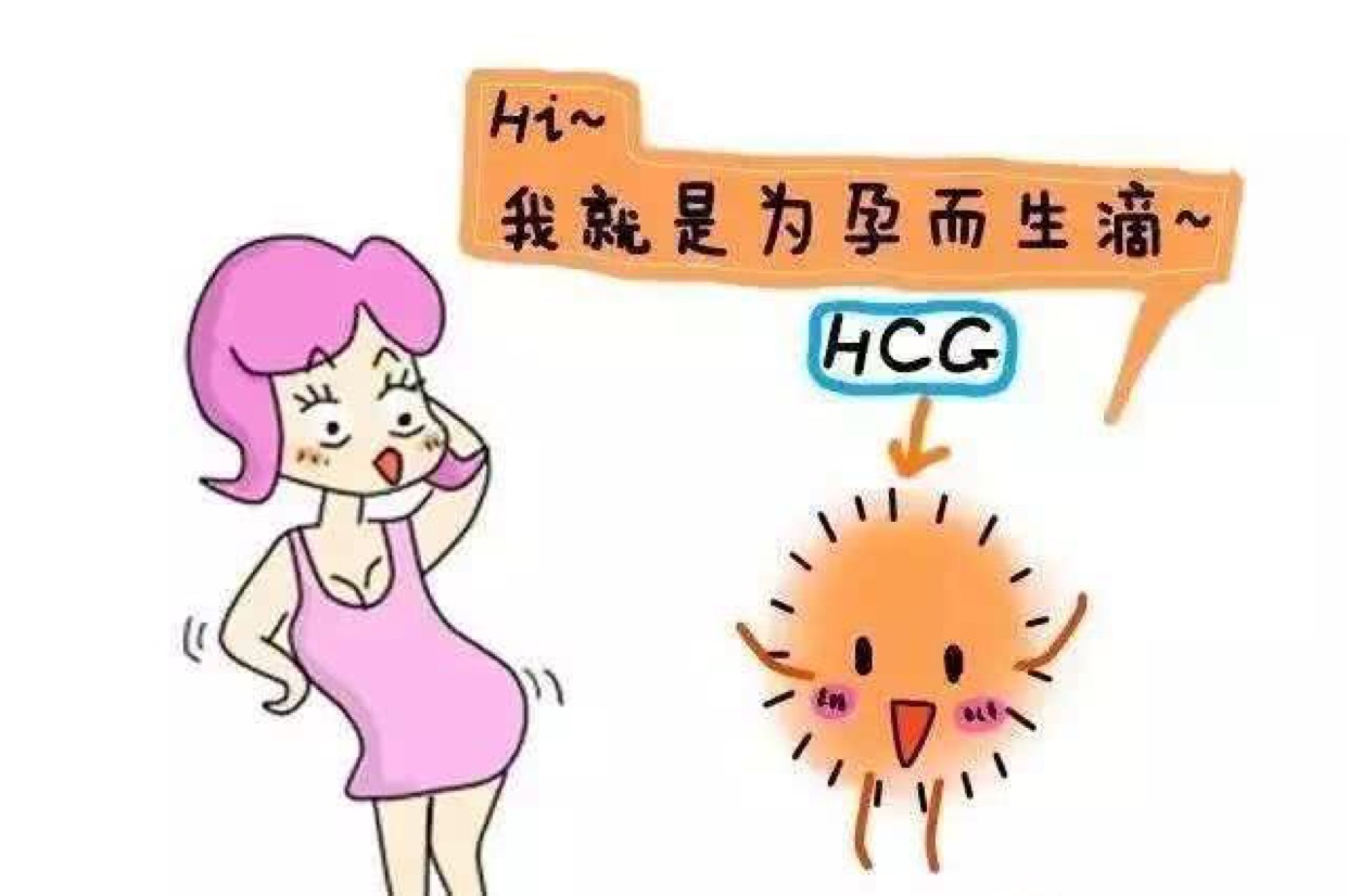 什么是孕酮？孕期一定要检查孕酮？