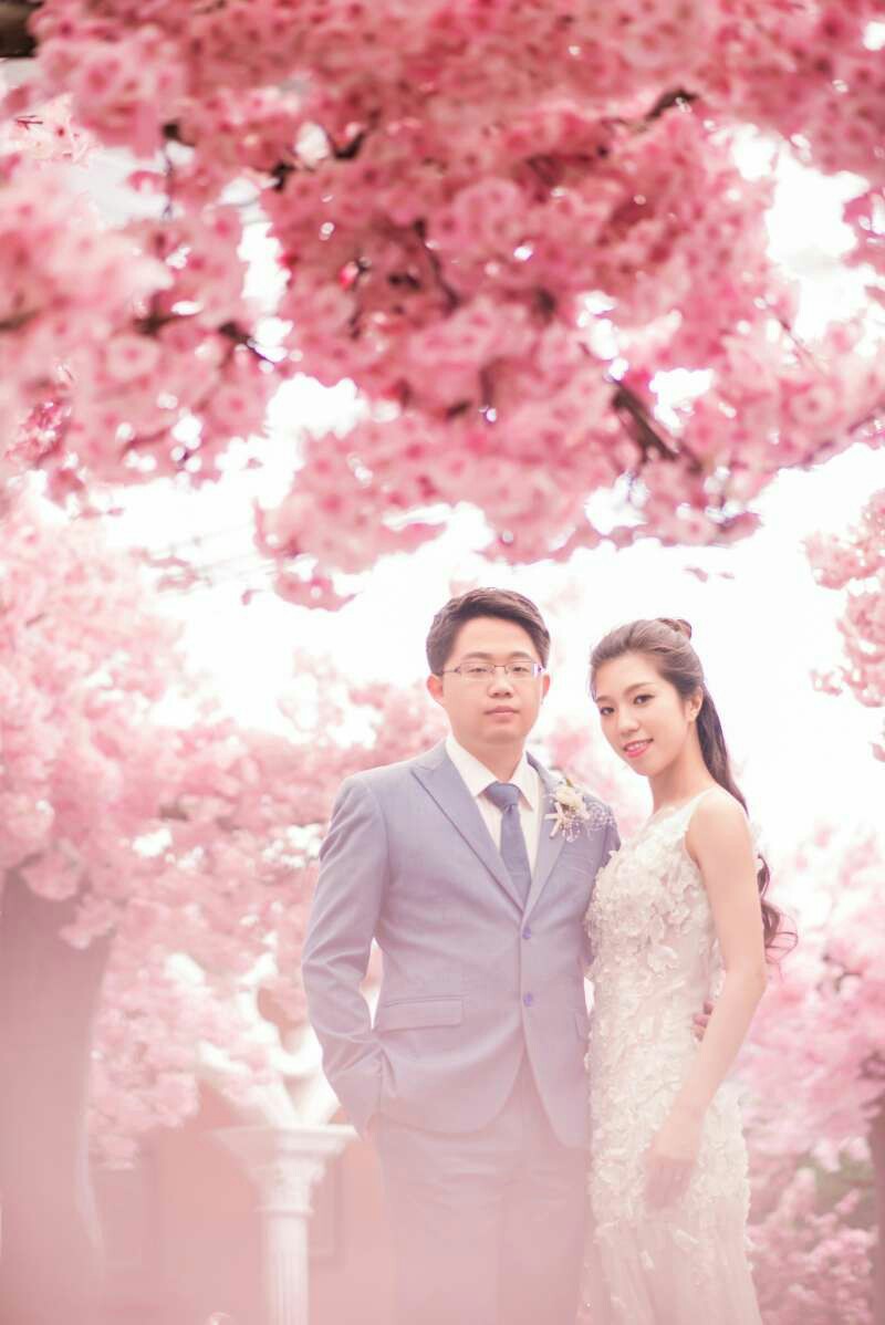 花栖婚纱摄影_龙栖地婚纱摄影(2)