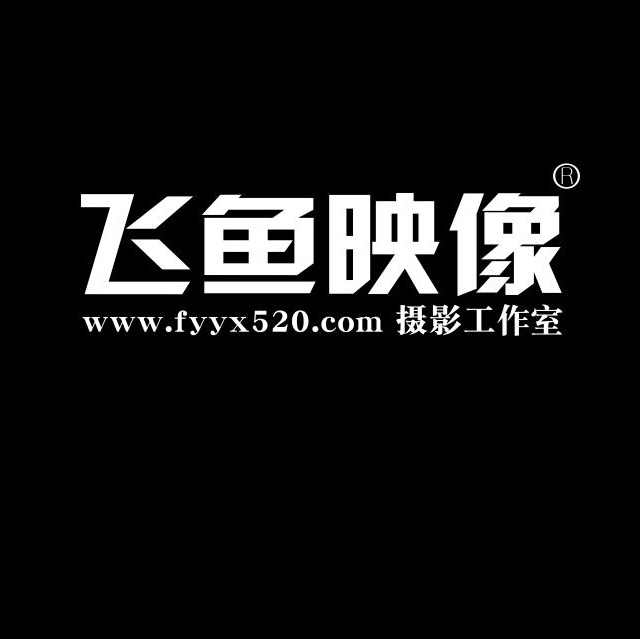 飞鱼映像