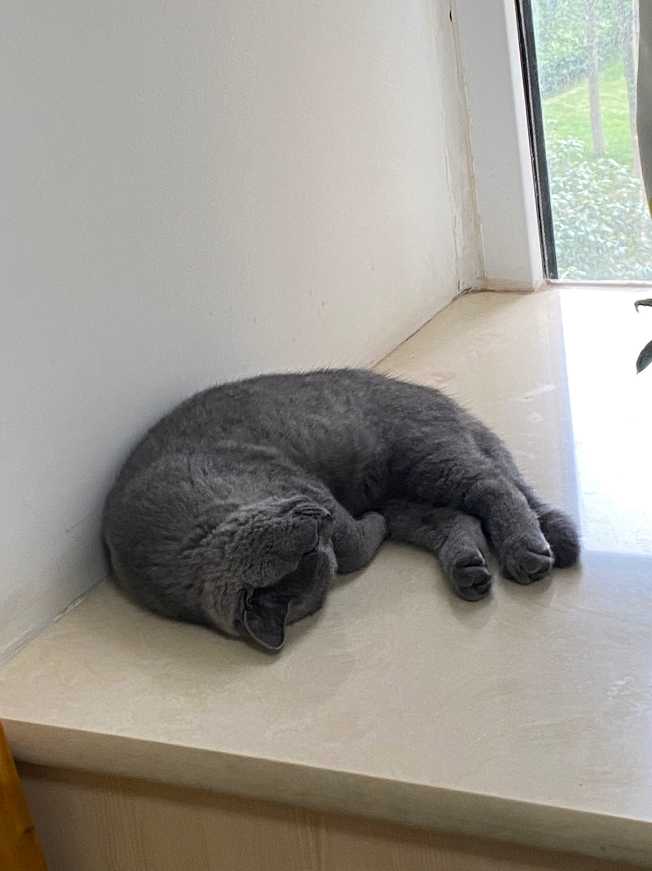 测试星晴sunny小清新古风套餐