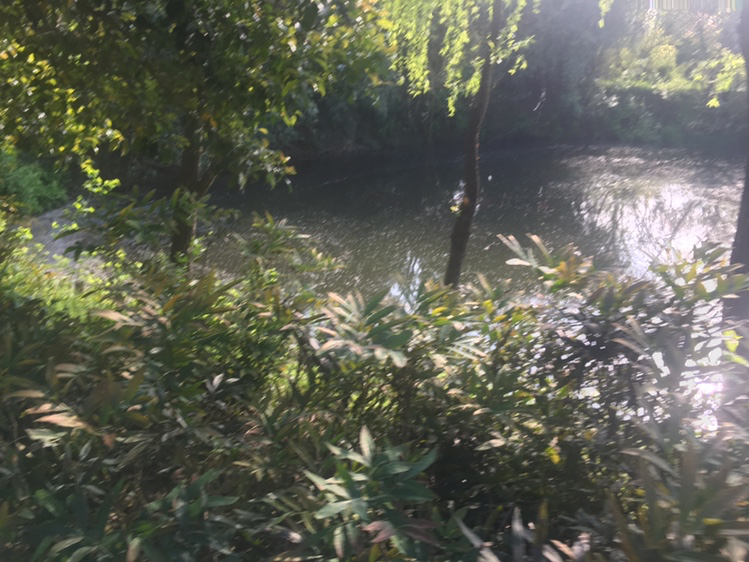 测试方法有什么可以解决的问题，